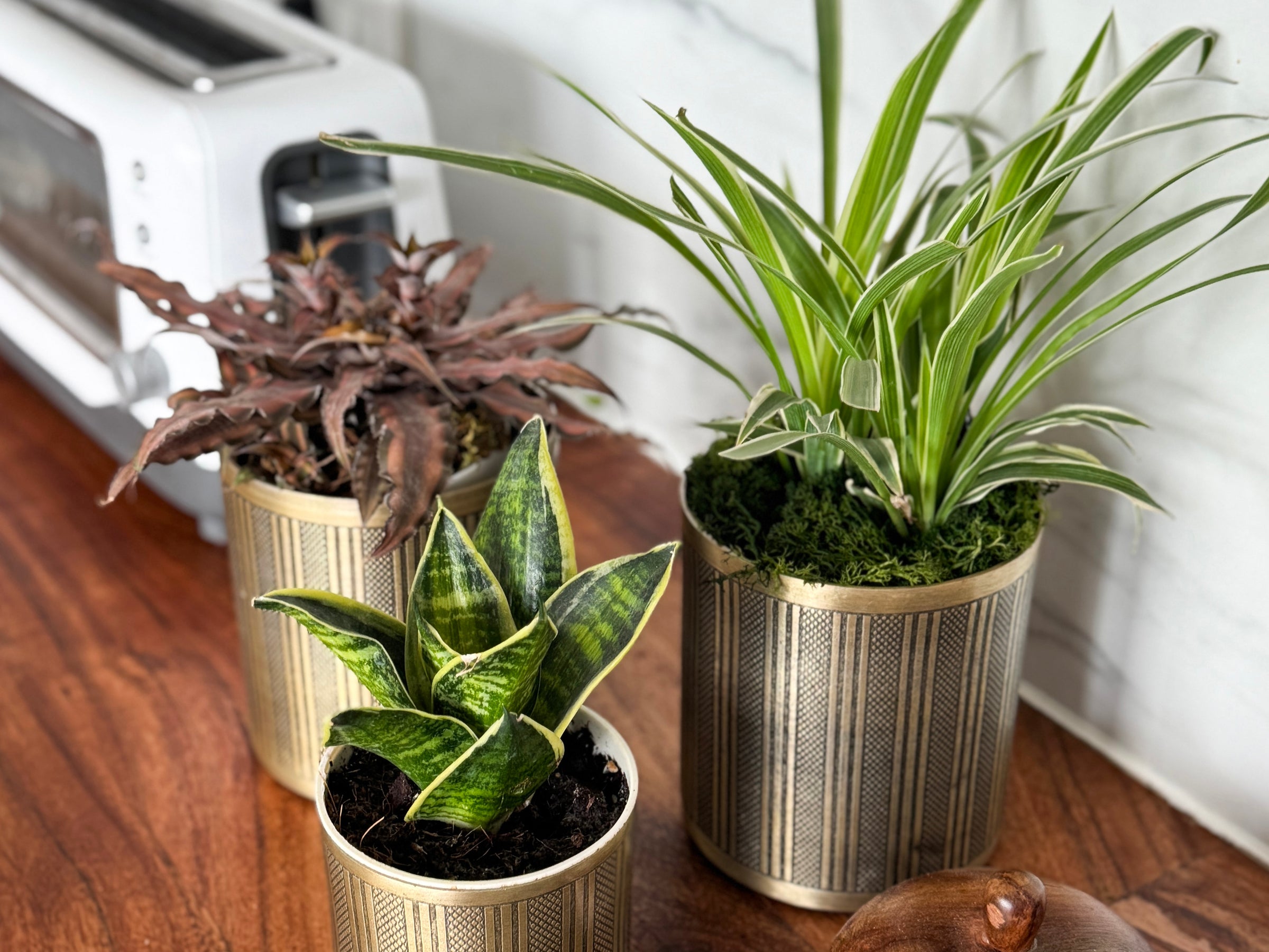 Indoor Planters & Pots