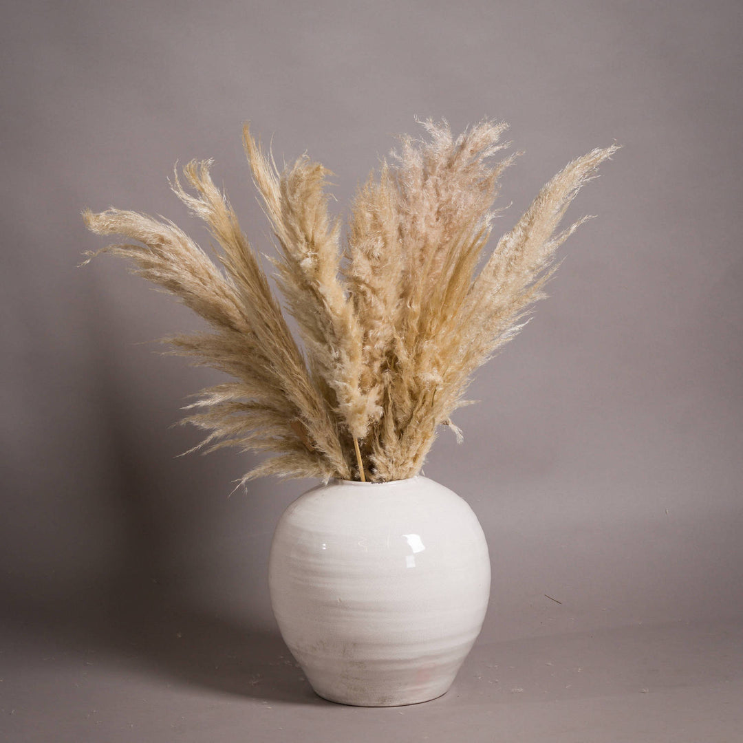 Garda Glazed Large Regola Vase by Hill Interiors