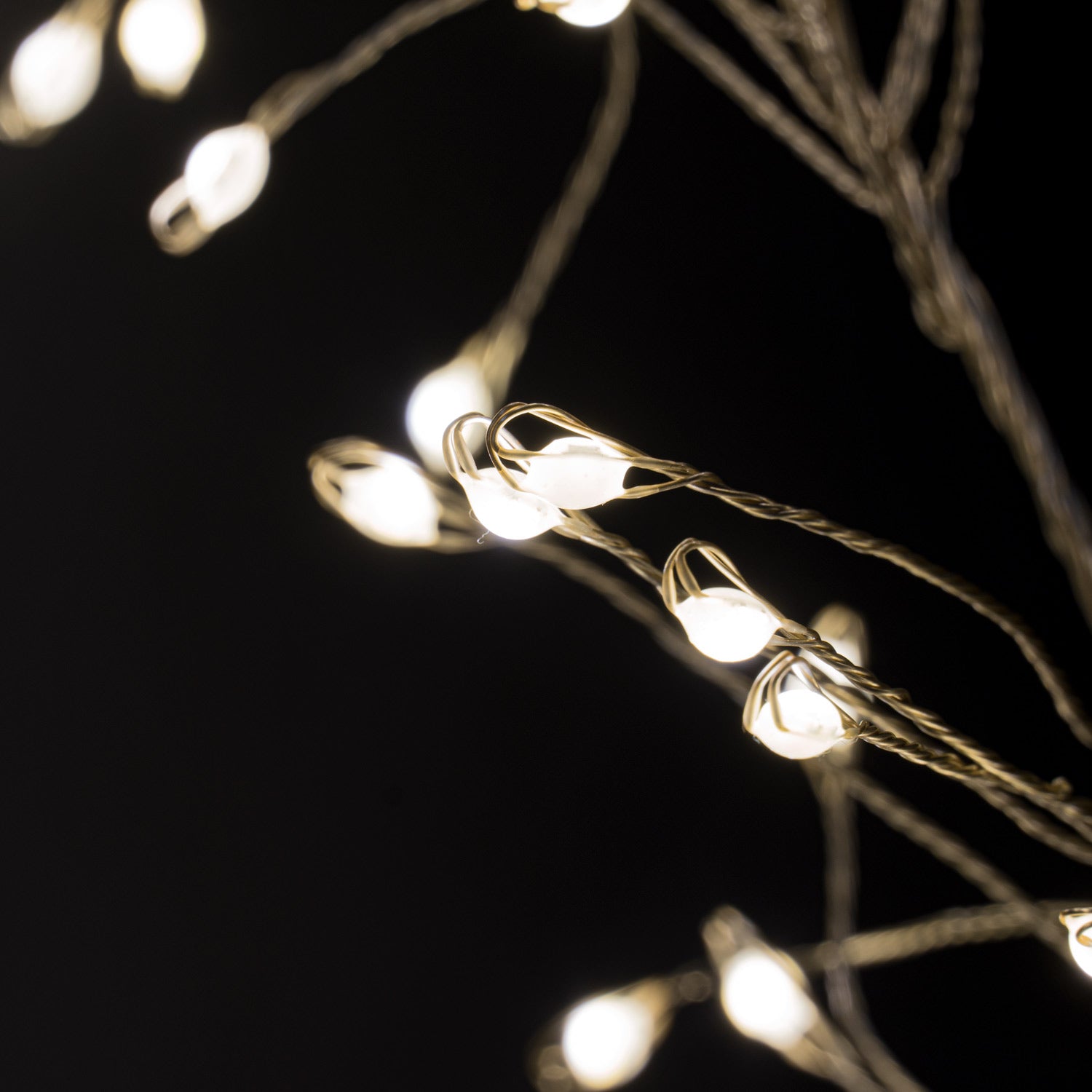 2.75m\9ft Plug-In LED 8 Sequence Warm White Cluster String by Hill Interiors