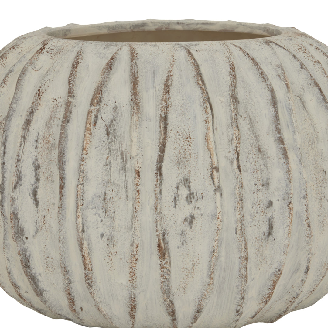 Lorenzo Rotund Fin Vase by Hill Interiors