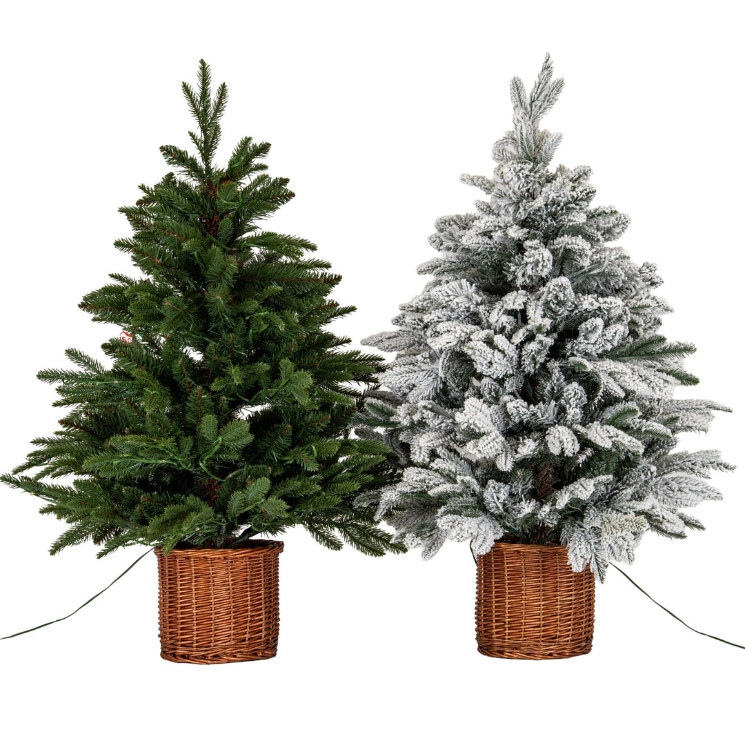 Norway Fir Pre-Lit LLED 300L  Fir Tree In Rattan Pot
