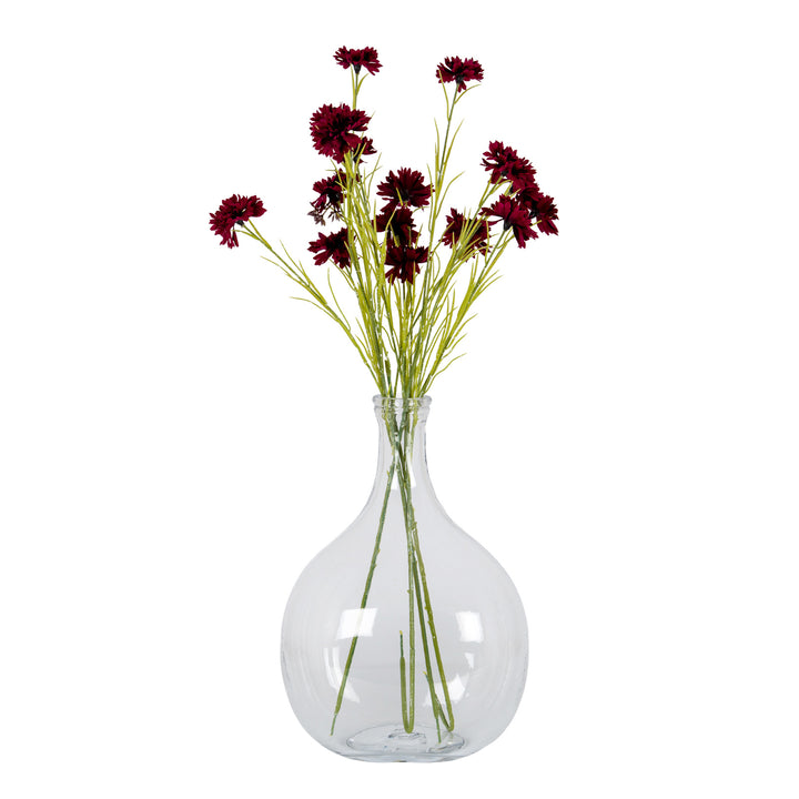 Large Glass Balloon Bottle Vase by Hill Interiors