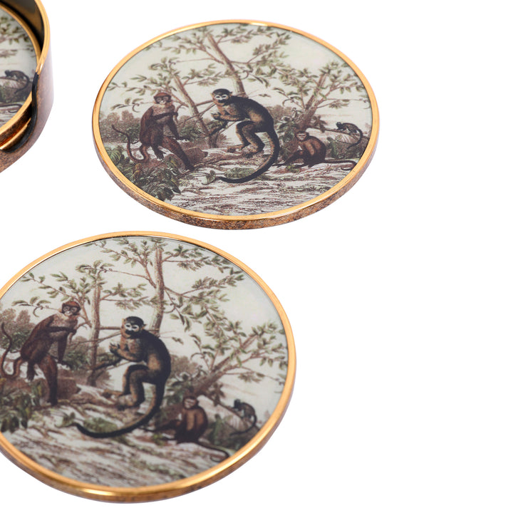 Monkey Jungle Set Coasters