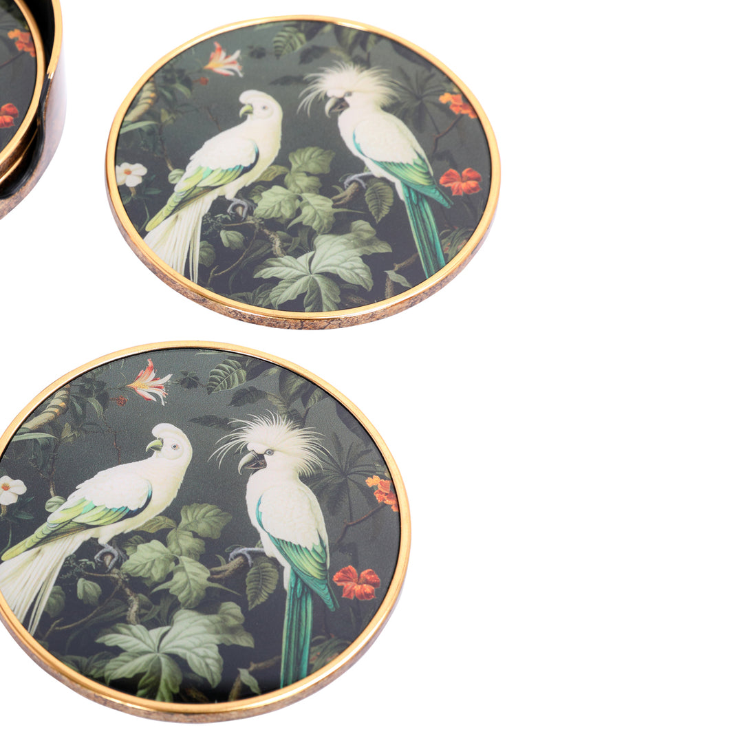 Tropical Birds Set Coasters
