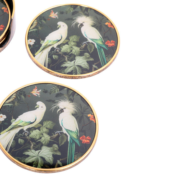 Tropical Birds Set Coasters
