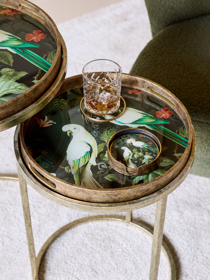 Tropical Birds Set Coasters