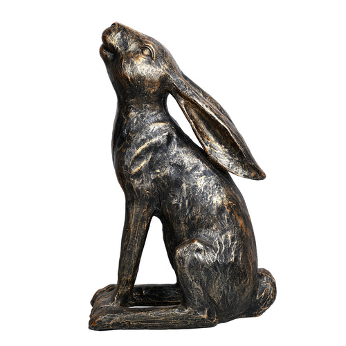 Harry Stargazing Hare