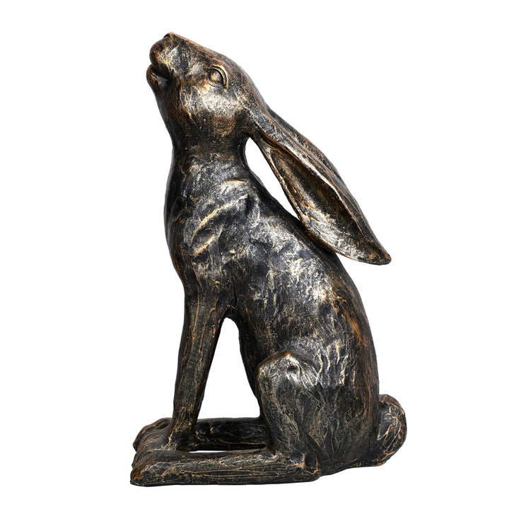 Harry Stargazing Hare