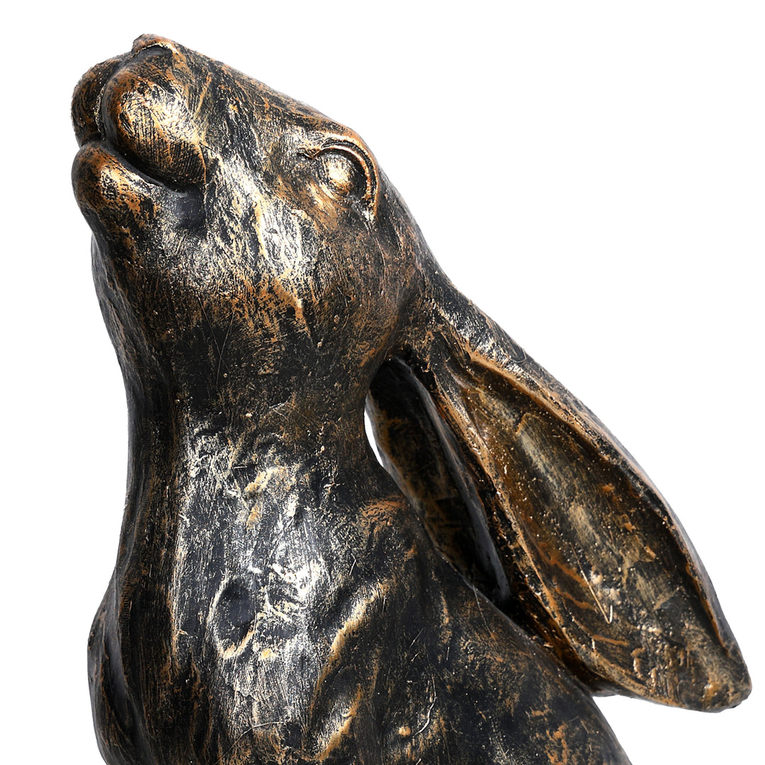 Harry Stargazing Hare