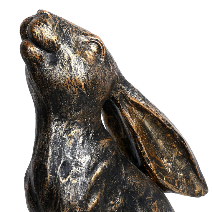 Harry Stargazing Hare