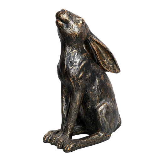 Harry Stargazing Hare