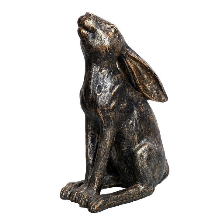 Harry Stargazing Hare