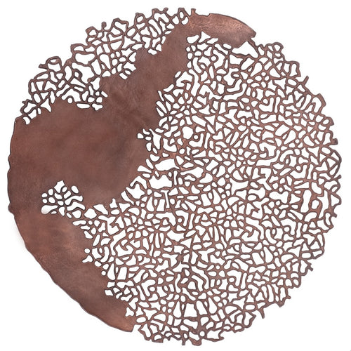 Apo Coral Raw Bronze Wall Plaque