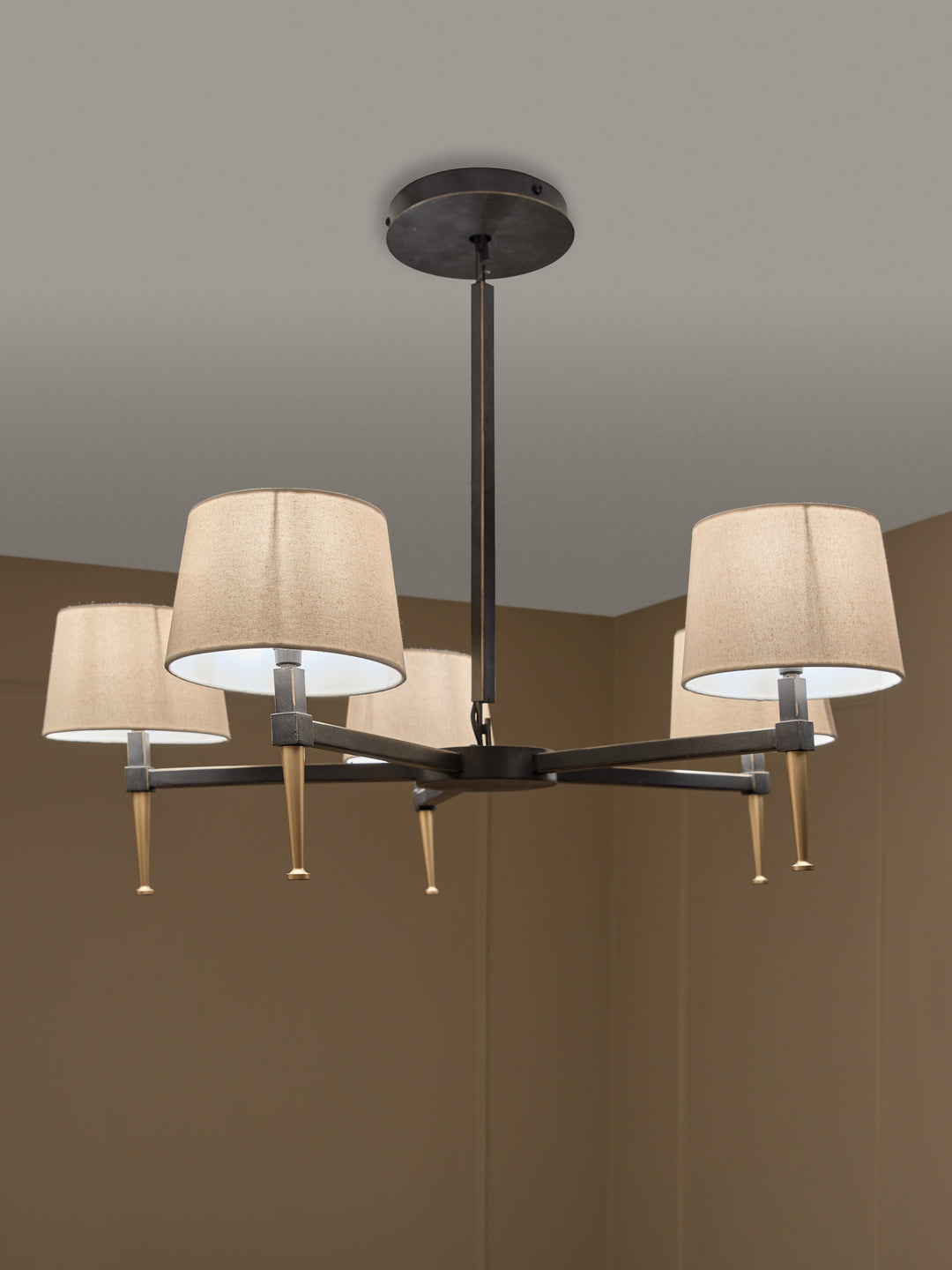 Stella 5 Light Pendant with Shades