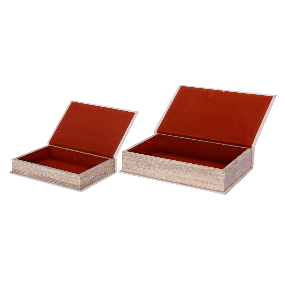 Minimalism Set of 2 Book Boxes