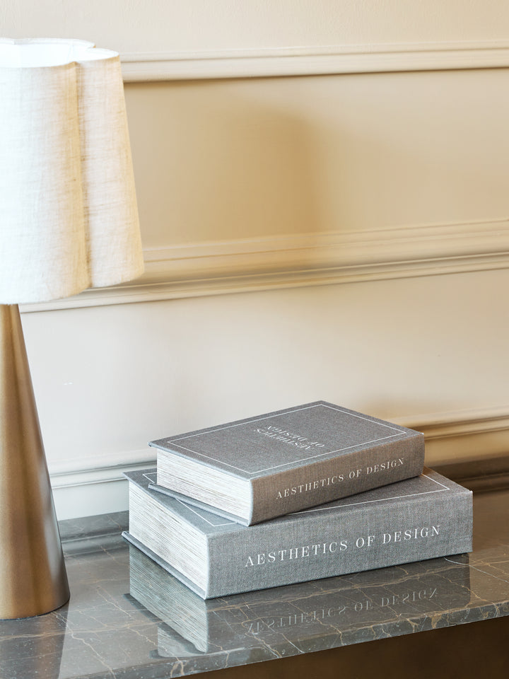 Aesthetics of Design Set of 2 Book Boxes