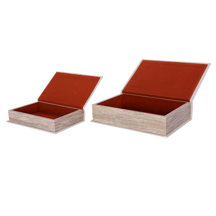 Matisse Set of 2 Book Boxes
