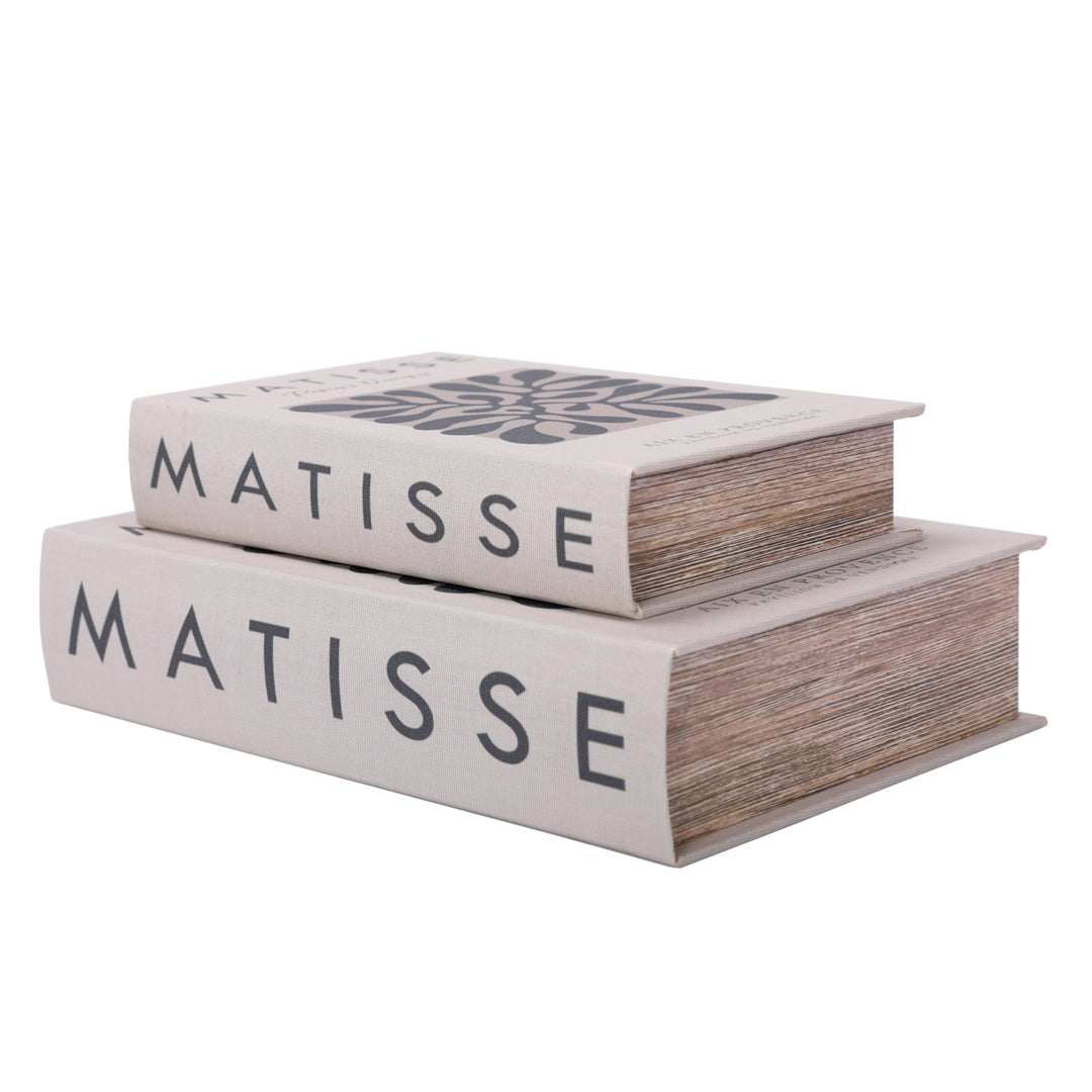 Matisse Set of 2 Book Boxes