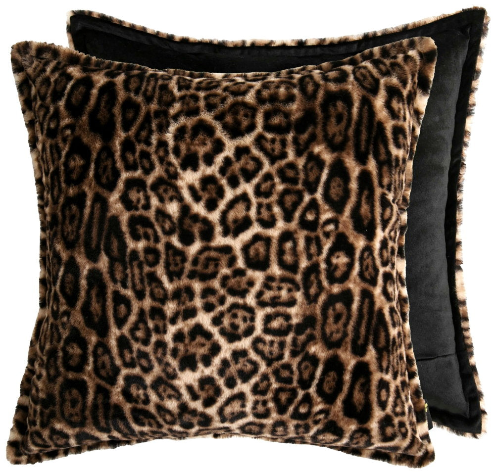 Paul Moneypenny Glamourpaws Cushion  , Paul Moneypenny Glamourpaws Cushion  , Paul Moneypenny Glamourpaws Cushion 