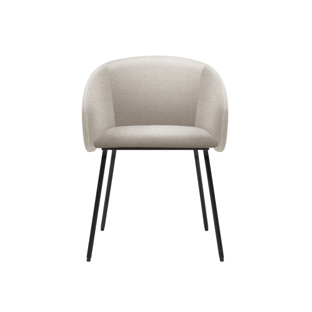 Fern Dining Chair – Lyon Mink